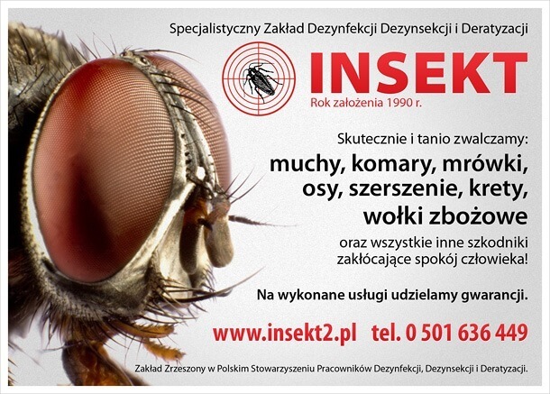 Lato bez owadów latających