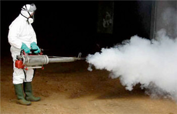 Szkodniki Magazynowe